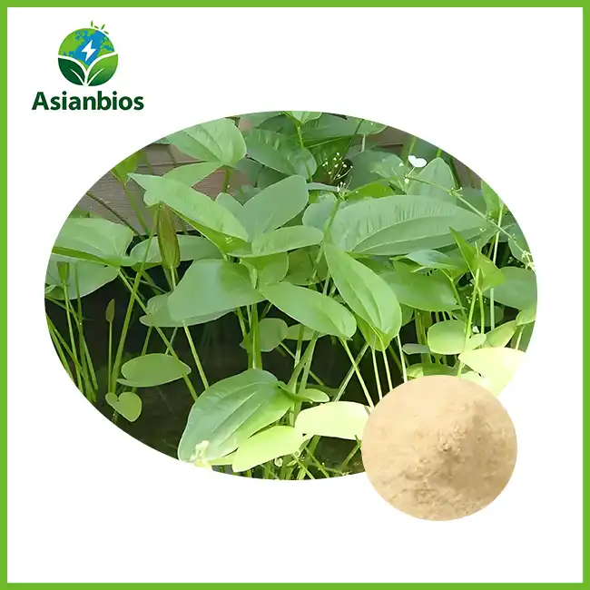Alisma Extract